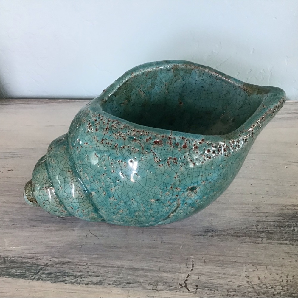 Cute shell decoration